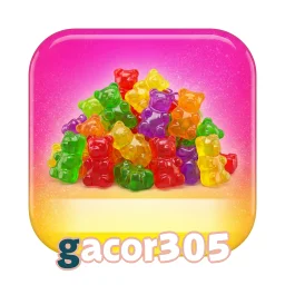 gacor305
